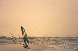 Arnaud De Rosnay sur une plage de Mauritanie