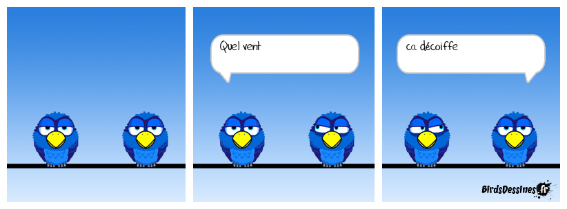 Birds - Ca décoiffe