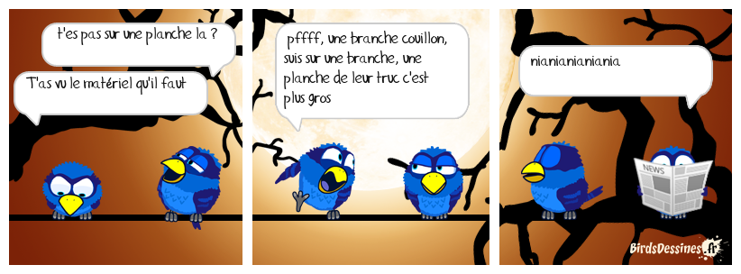 Birds-branche-de-speed