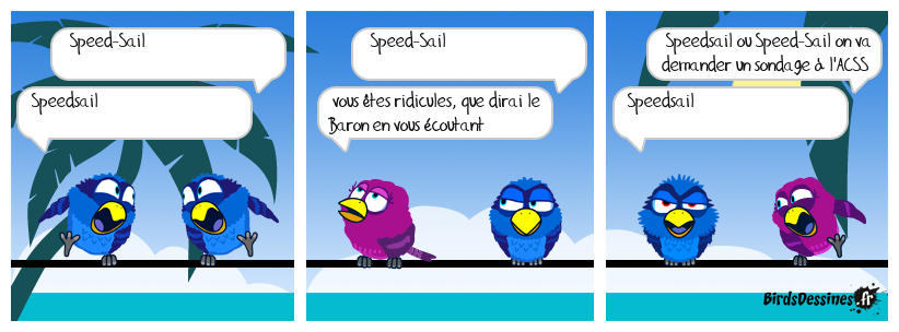 Birds-orthographe-Speedsail