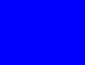 FISLY - Drapeau bleu