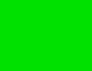 FISLY - Drapeau vert