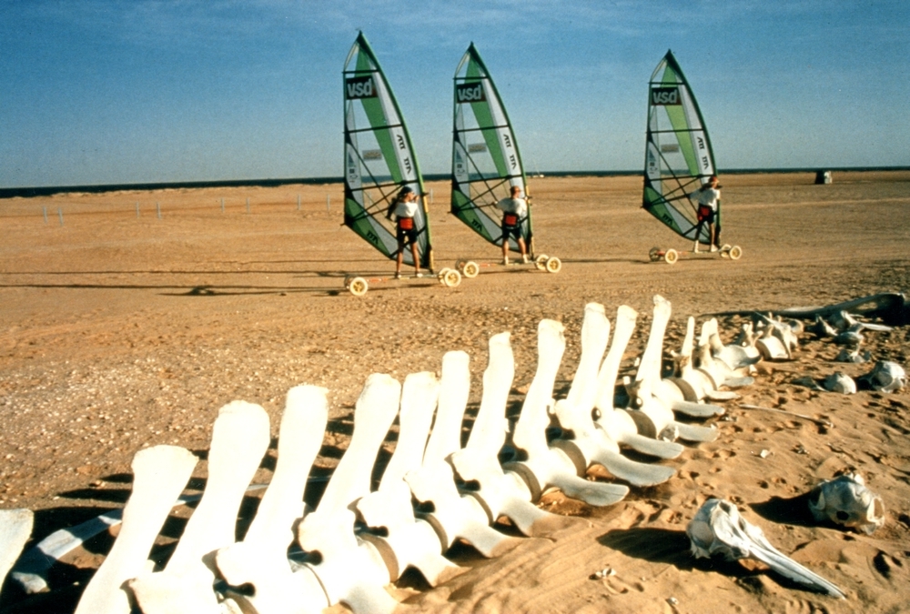 Nouamghar - Baleine exterieure