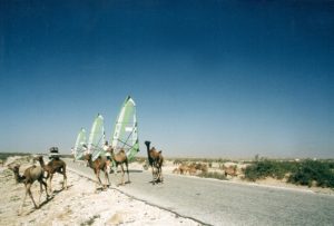 Raid 1994 - Route entre Nouakchott et Rosso - Traversée de dromadaires