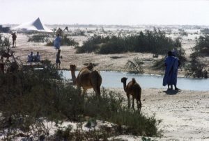 Raid 1994 - Route entre Nouakchott et Rosso - Oasis et camp de Nomades