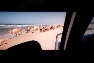 Raid 1994 - Langue de Barbarie