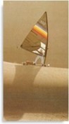 Arnaud-De-Rosnay-sur-une-dune